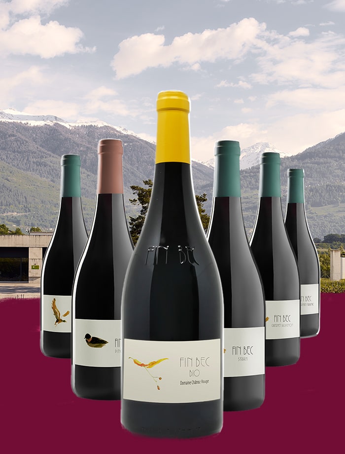 Forfait vins rouges - 6 vins rouges fins du Valais